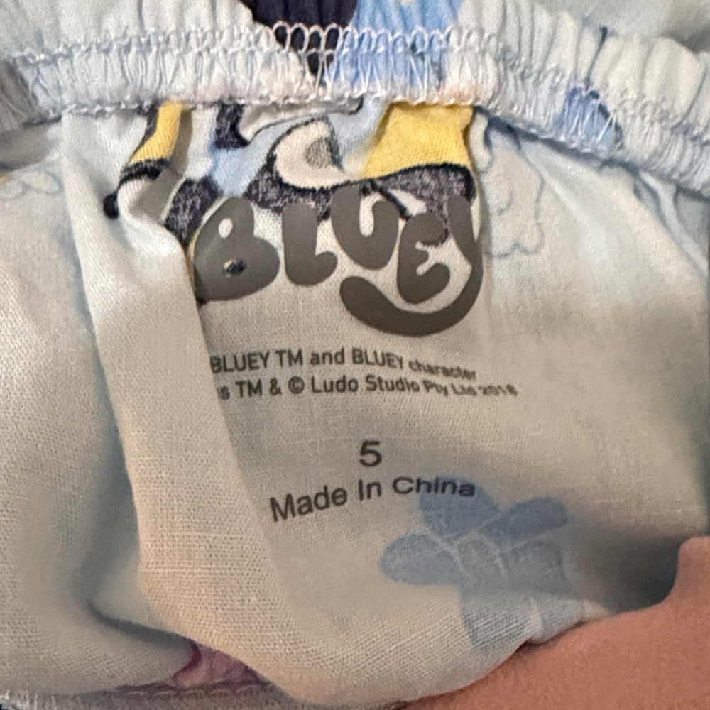 Bluey Themed Kids Dress - Picture 3 of 3
